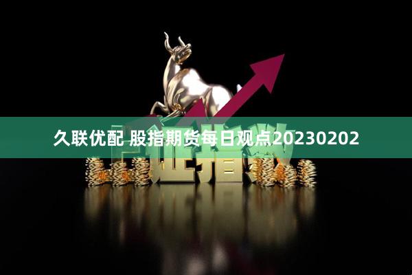久联优配 股指期货每日观点20230202